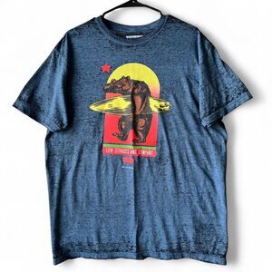 Levi’s Bear Surfboard Graphic Tee – Size L, California Vibes